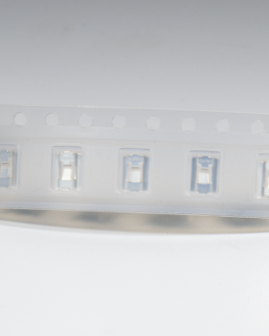 Plug Receptacle